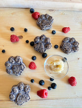 Load image into Gallery viewer, Daisy’s Fruity Treats