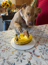 Load image into Gallery viewer, Number Cake