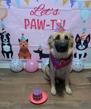 Load image into Gallery viewer, Sprinkle birthday cake