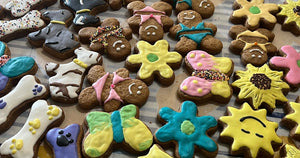 Fun Cookies