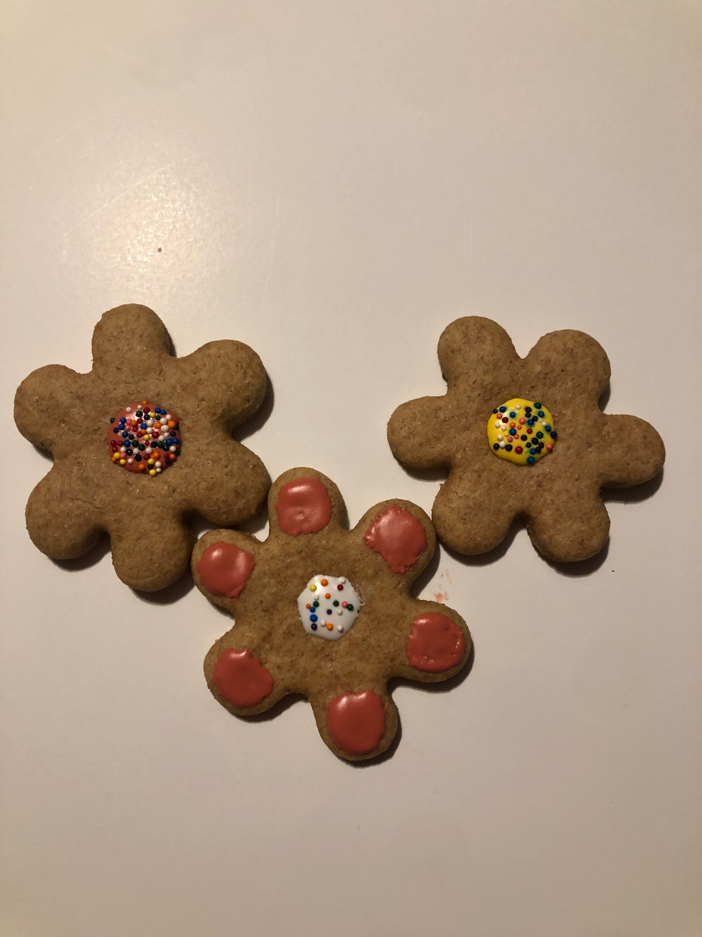 Fun Cookies