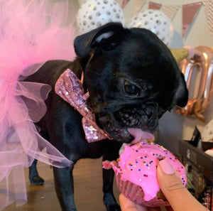 Baby girl enjoying her birthday cupcake.